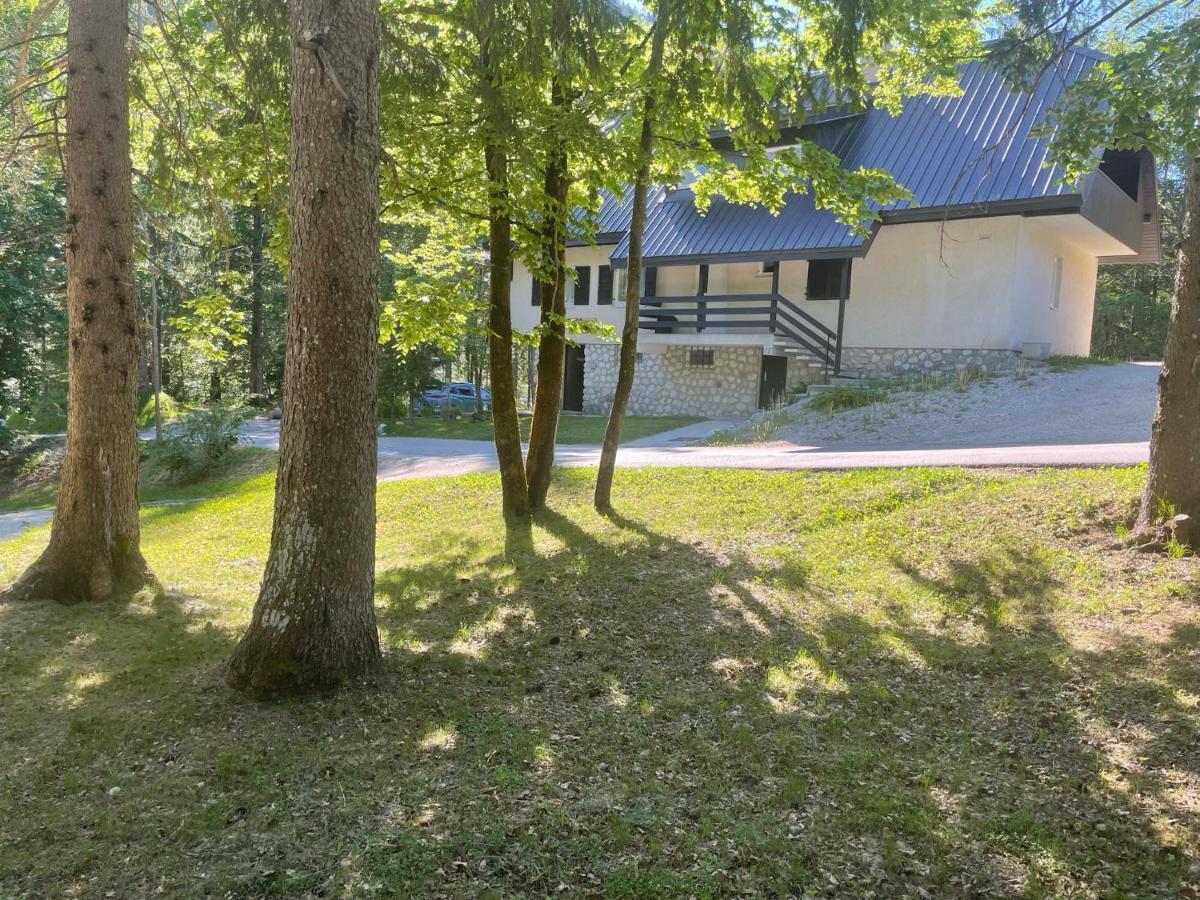 Appartement Martinov Dom à Kranjska Gora Extérieur photo